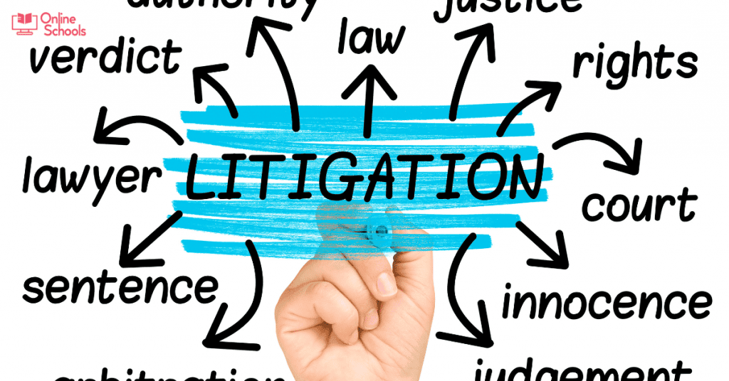 Litigation Paralegal